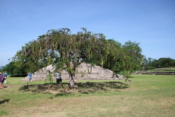 Zona Arqueológica la Campana-Villa de Alvarez必去景点