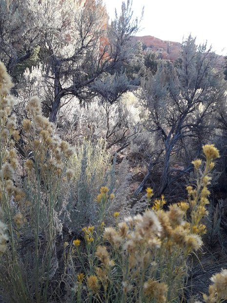 Red Canyon-潘圭奇必去景点