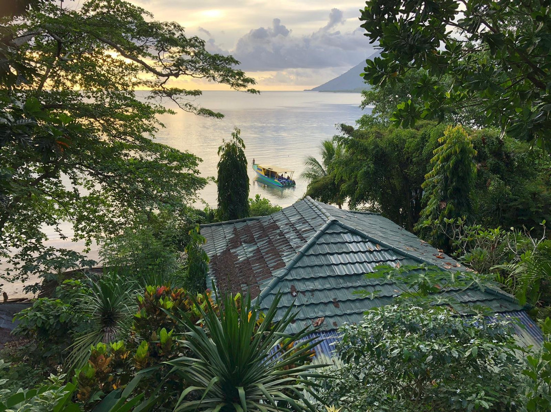 Panorama Diving Resort主图