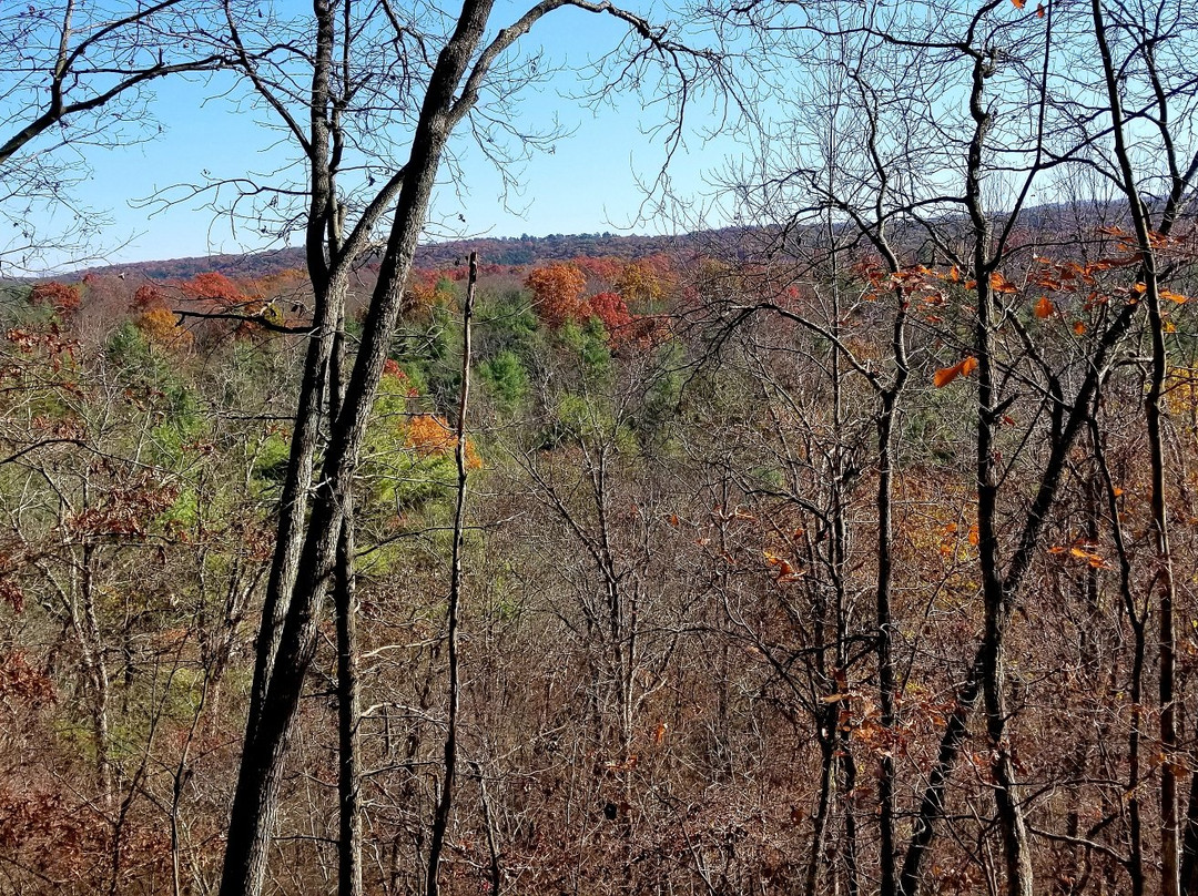 Green Ridge State Forest-Flintstone必去景点