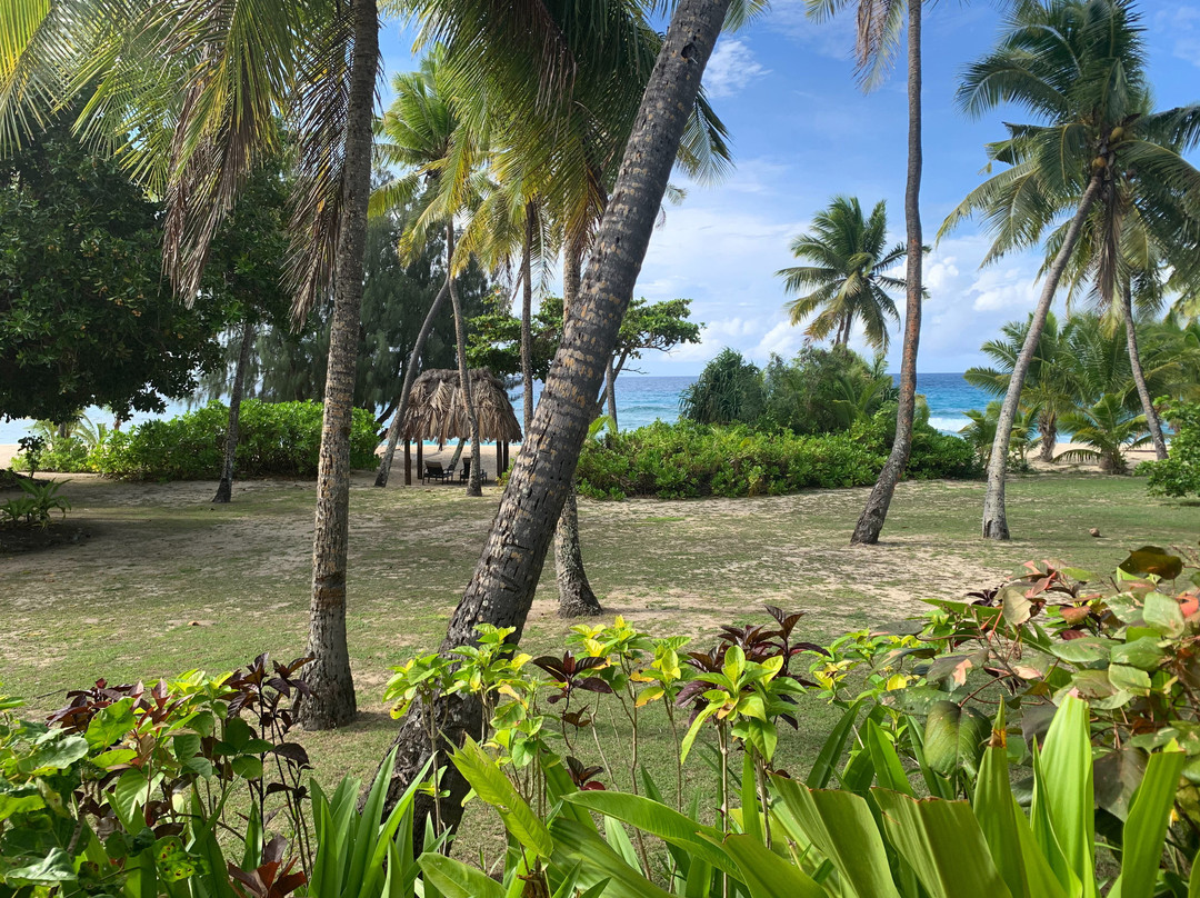 亚萨瓦岛度假村主图