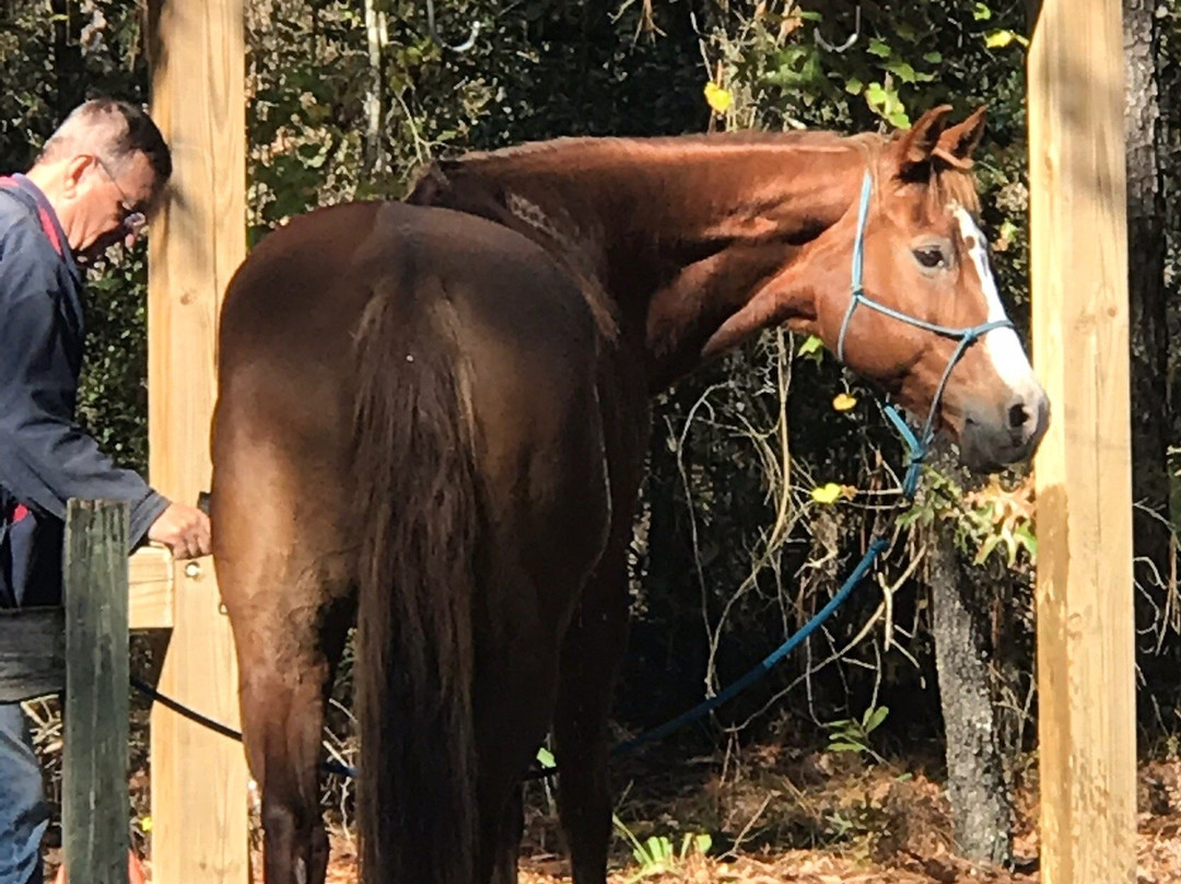 Landbridge Trailhead-奥卡拉必去景点