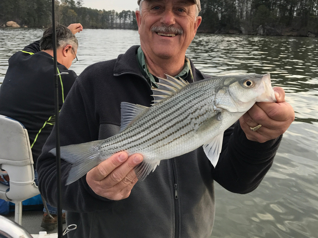 Oconee On The Fly-Buckhead必去景点