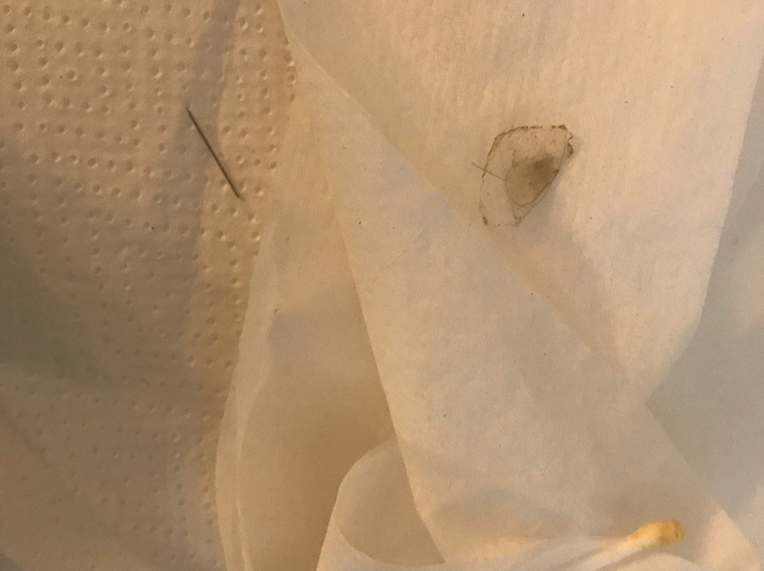 锡考克斯梅多兰兹住宅旅馆主图