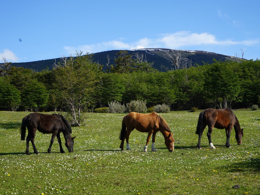 Lodge Lakutaia主图