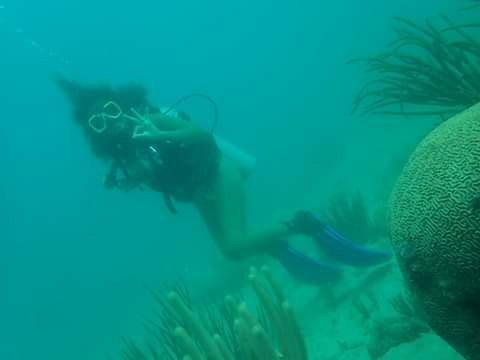Barracuda Dive Center-位于塔甘加必去景点