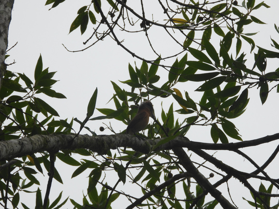 Cachoeira do Alecrim-Tapirai必去景点