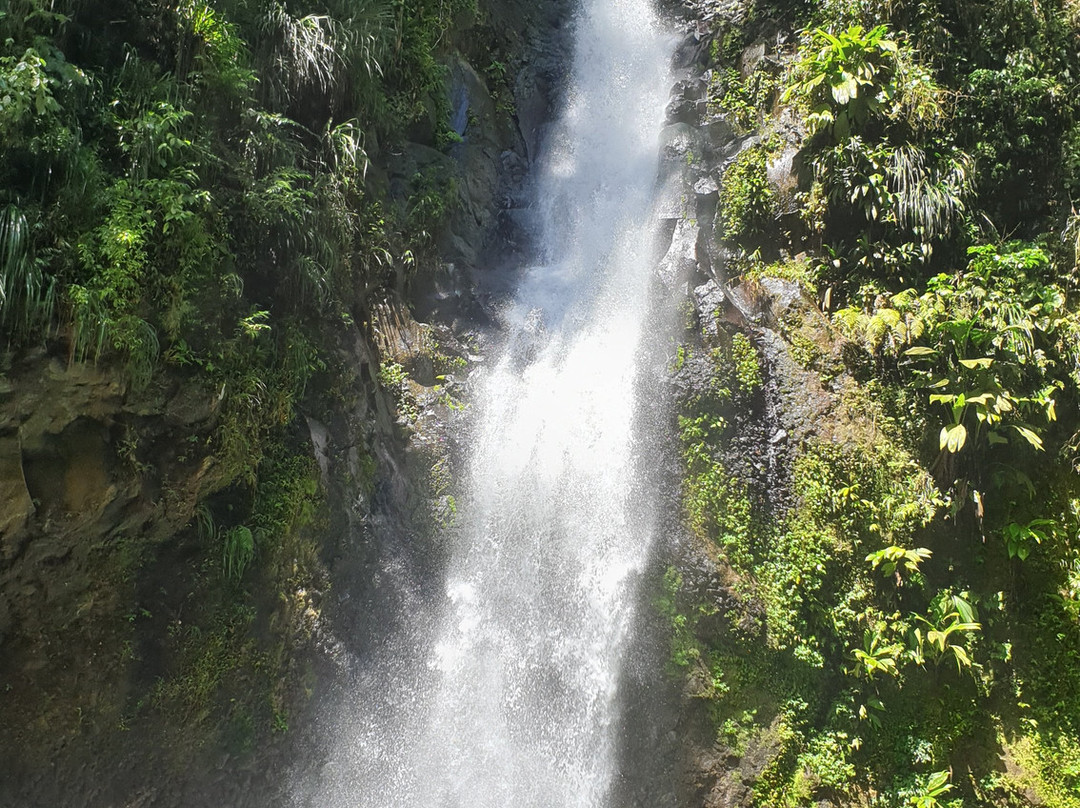 Fontaine Didier-法兰西堡必去景点