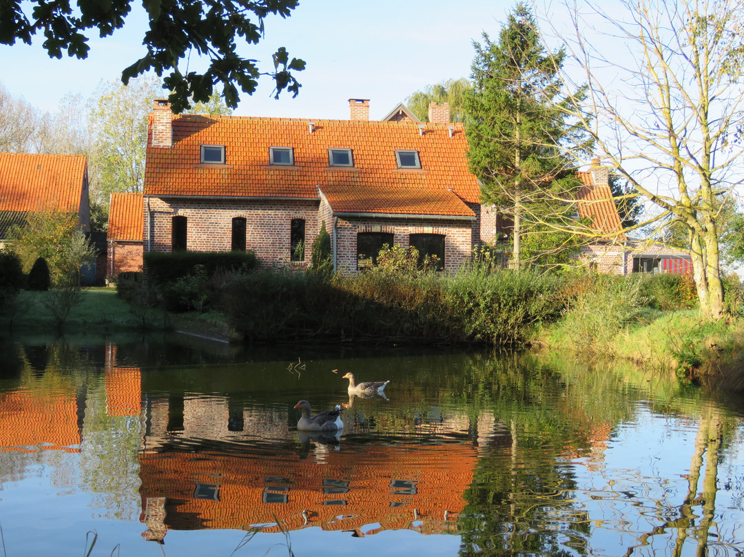 Paardenhof Guesthouse主图