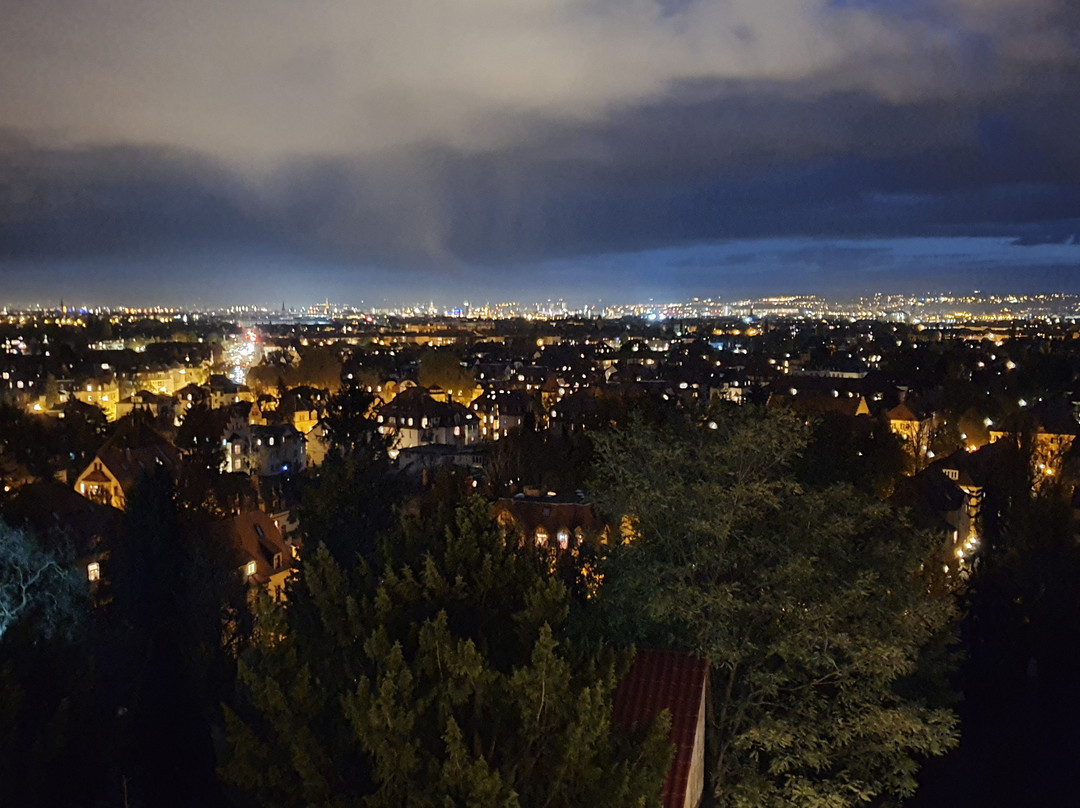 Bergwirtschaft Wilder Mann主图