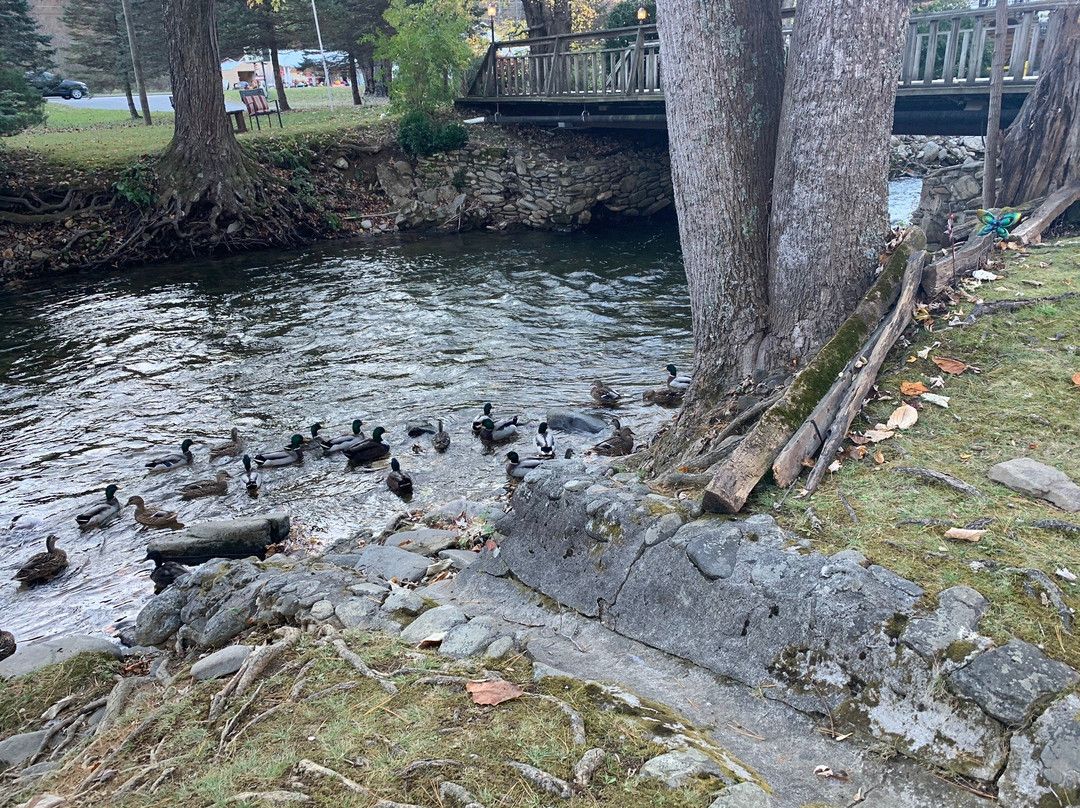 Rolling Brook Inn主图