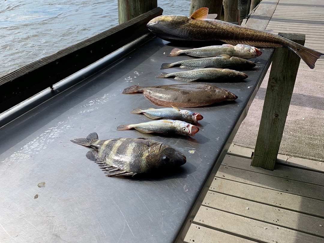 Cowboy Charters-Freeport必去景点