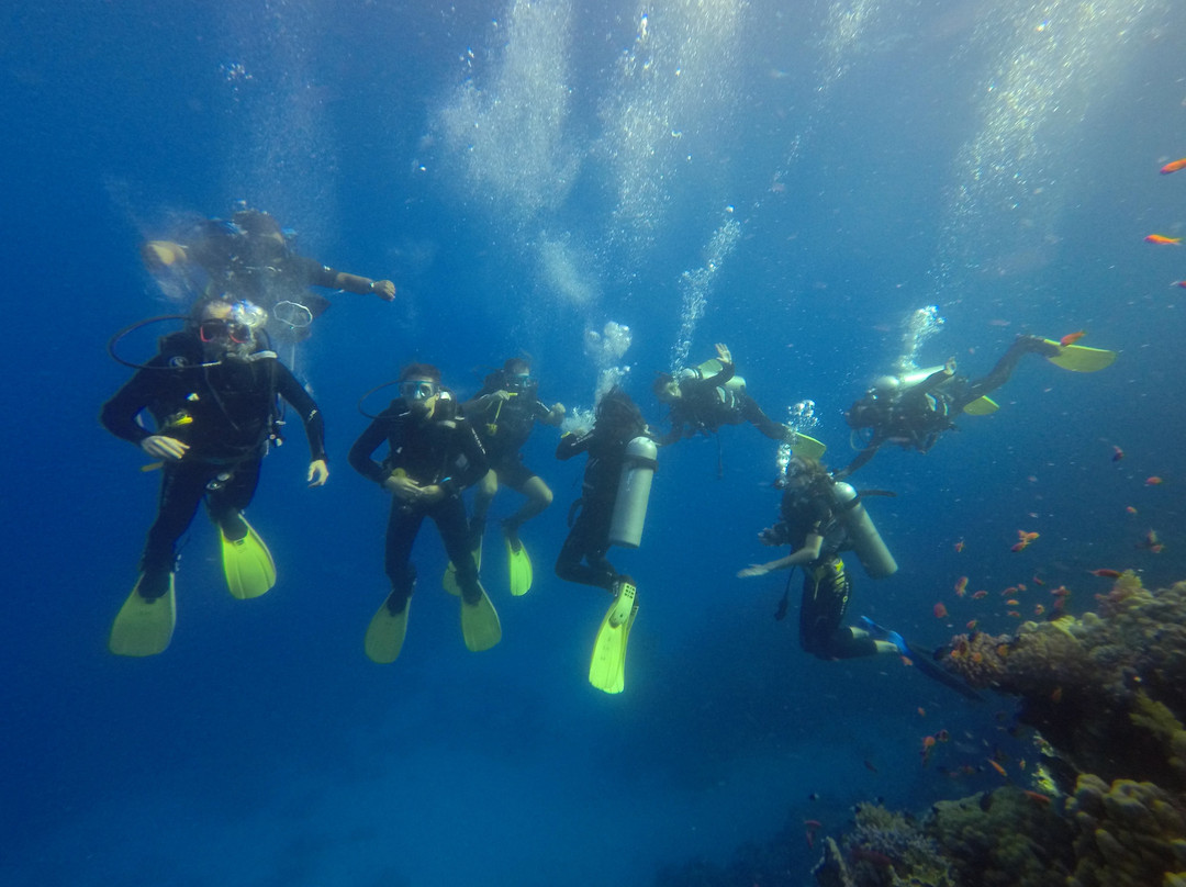 Blue Realm Diving Dahab-南西奈必去景点
