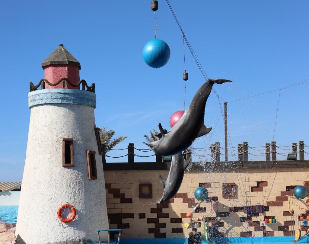 Agadir Dolphin World-阿加迪尔必去景点
