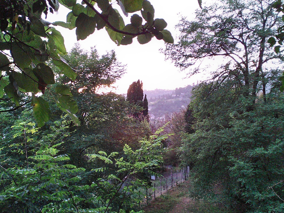 Bagrat's Castle-Sukhumi必去景点