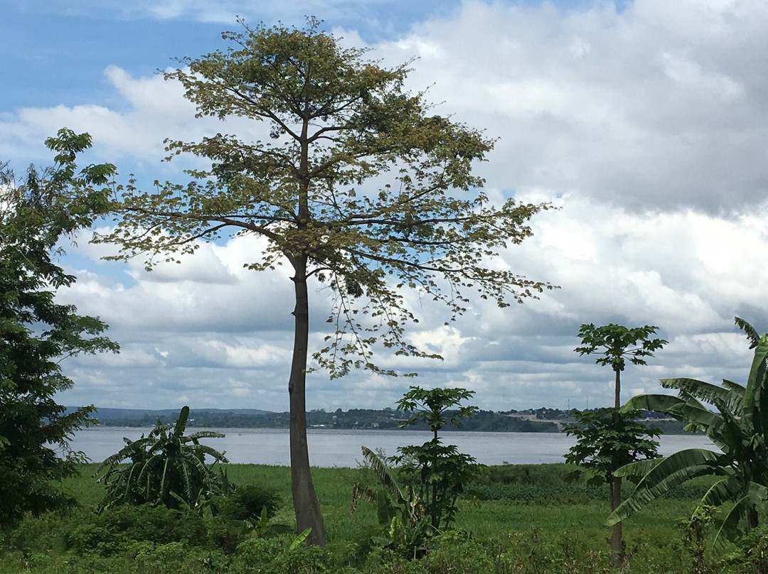 Congo River景点图片