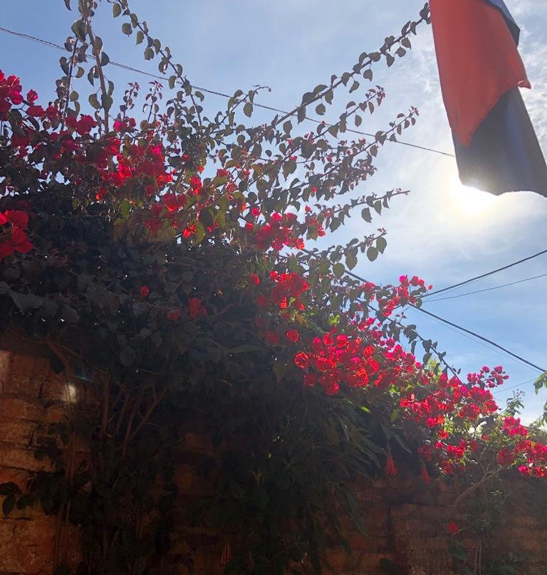 Mi Casa Es Tu Casa Inn主图