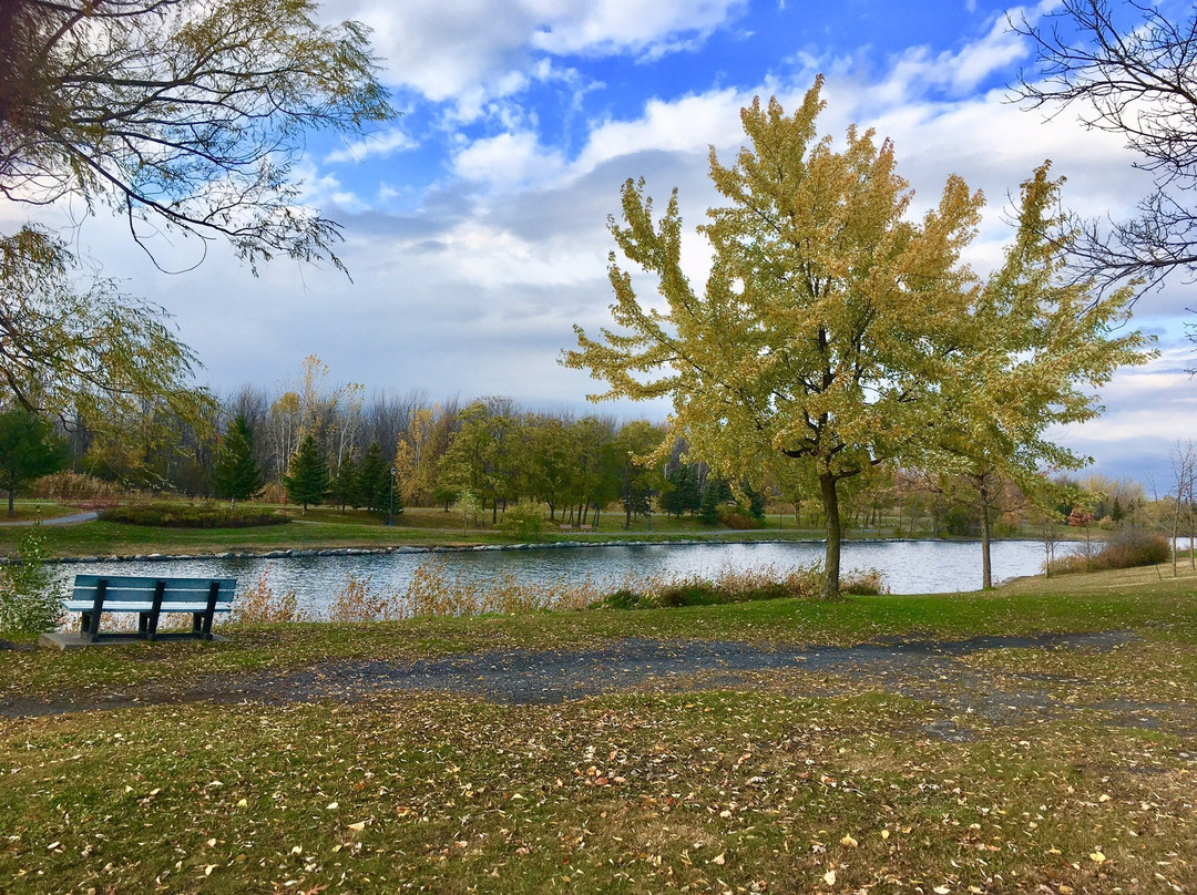 Parc de la Cité-隆格伊必去景点