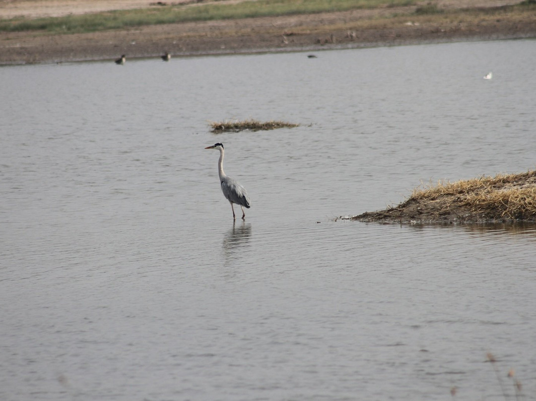 Pariej Lake-Pariyej必去景点