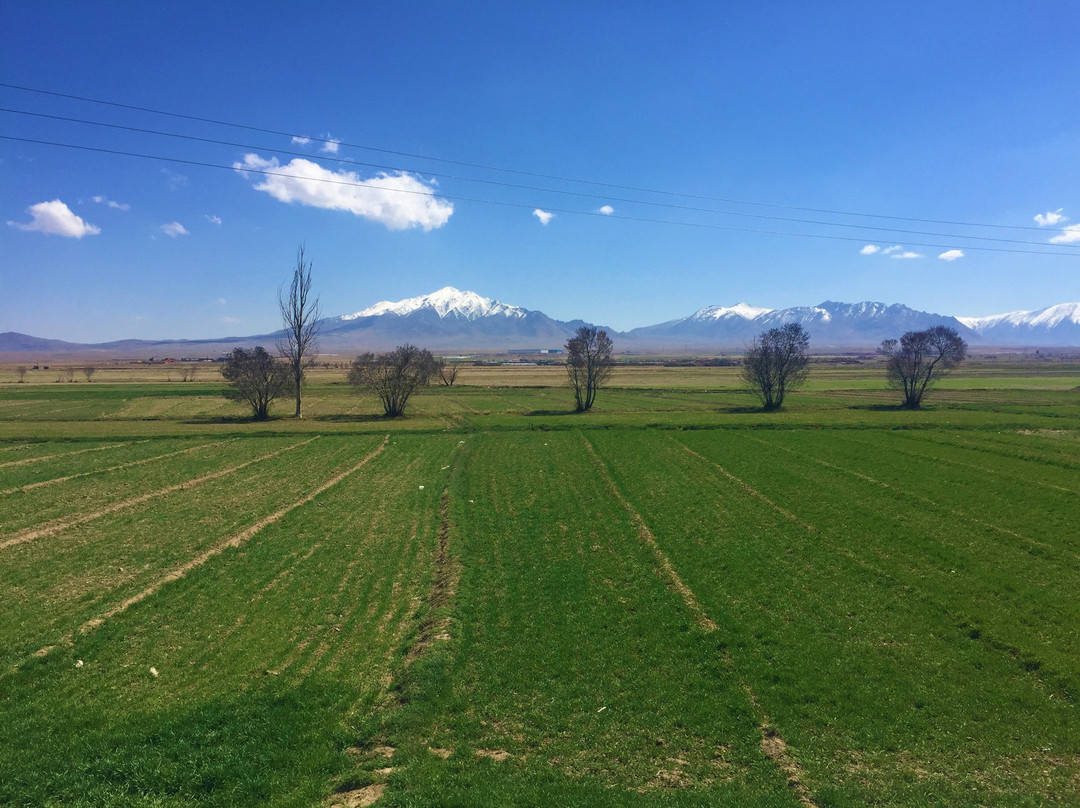 Markazi Province旅游攻略图片