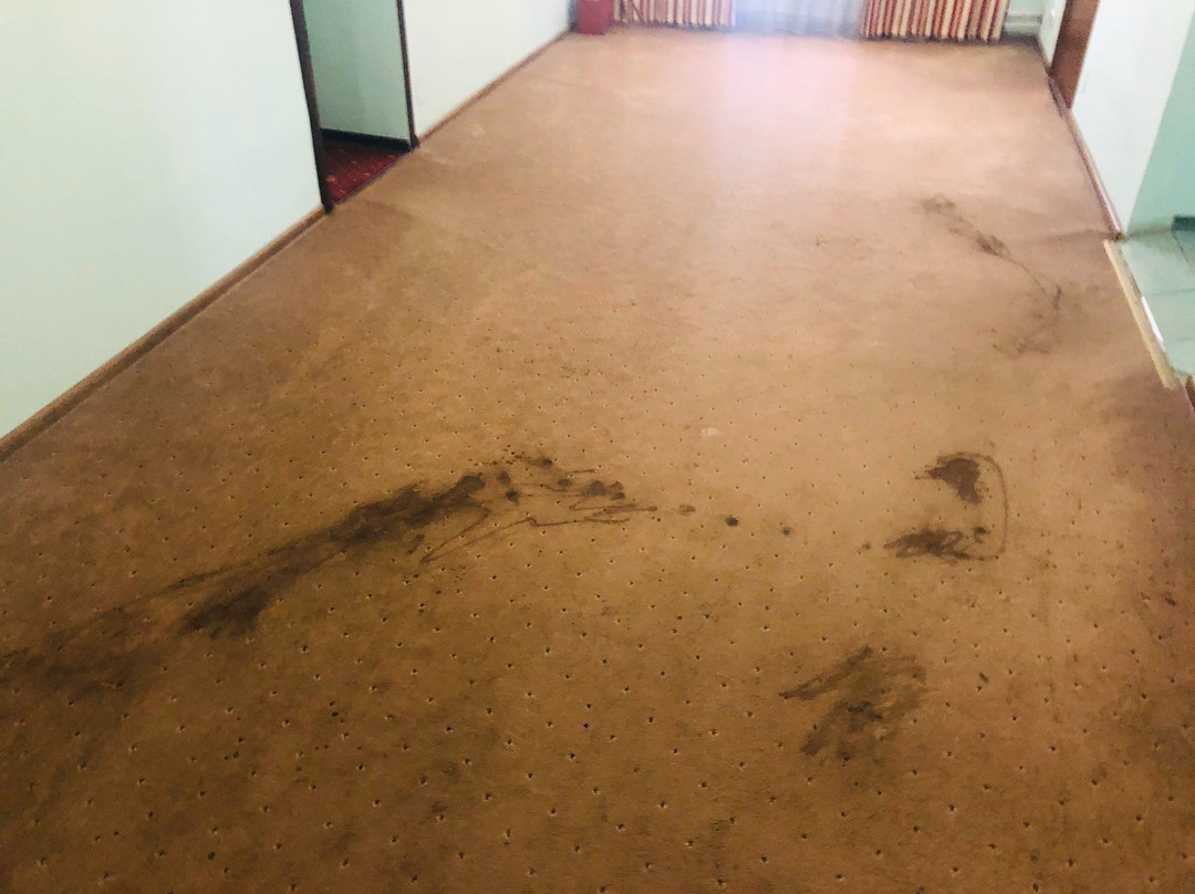 Hotel Pervomayskaya主图