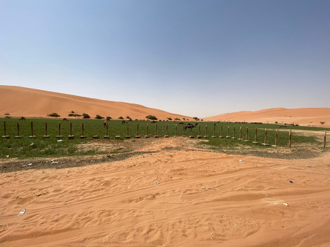 Al Kharrarah National Park