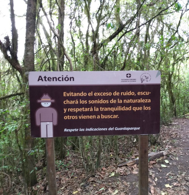 Cascada del Rio Noque景点图片