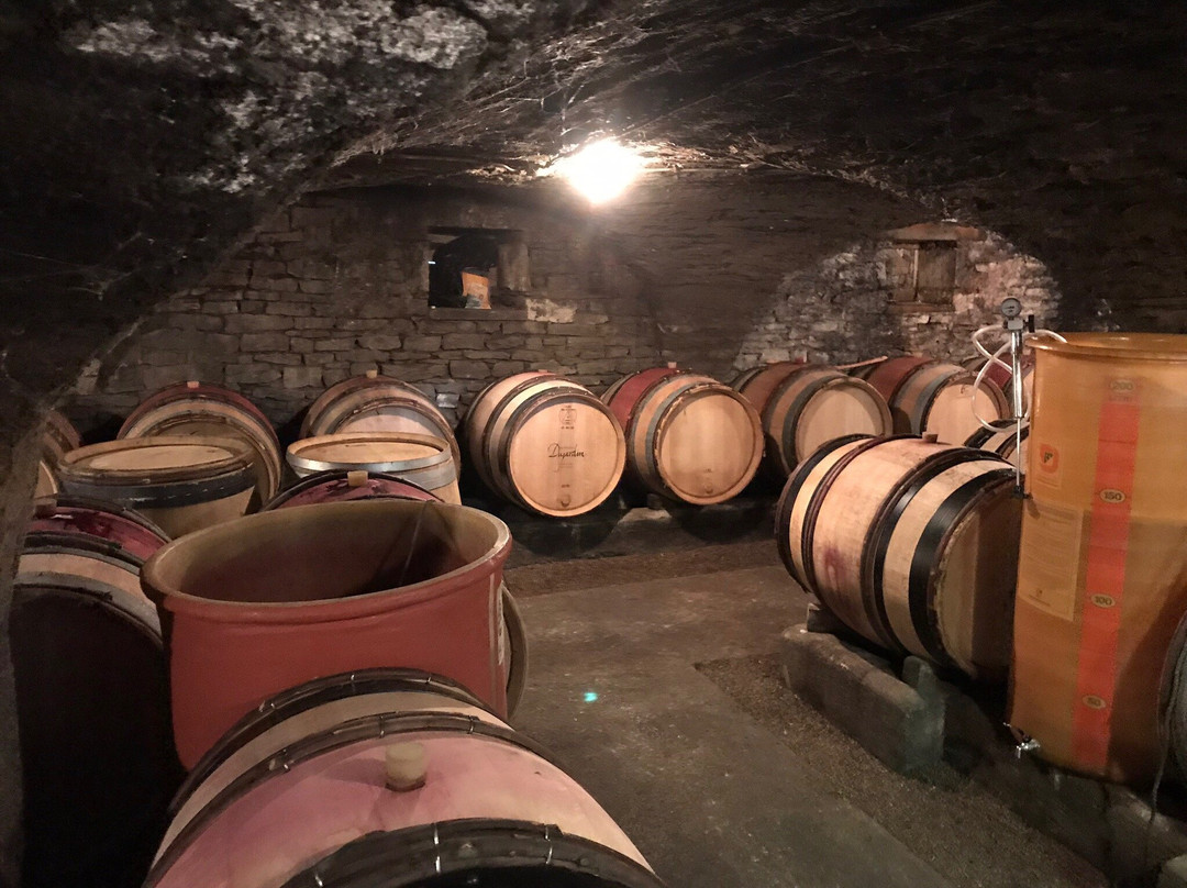 Burgundy Discovery景点图片