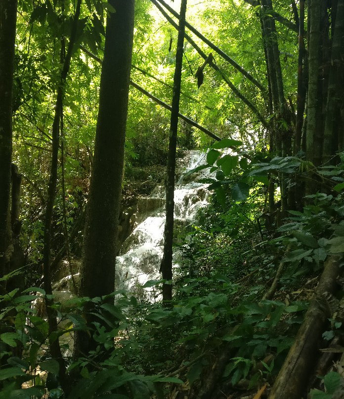 Doi Luang National Park景点图片