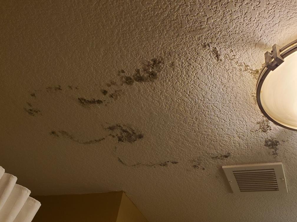 皮尔兰烛木套房酒店-官方