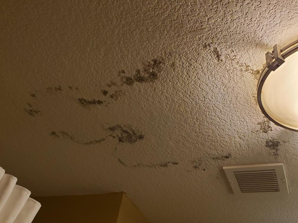 Manvel酒店住宿-皮尔兰烛木套房酒店