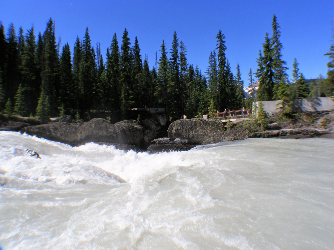 Kicking Horse River景点图片