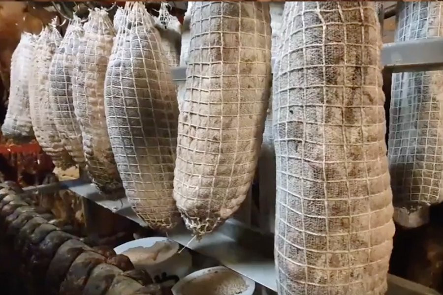 Taste Serbia Food Tours-贝尔格莱德必去景点