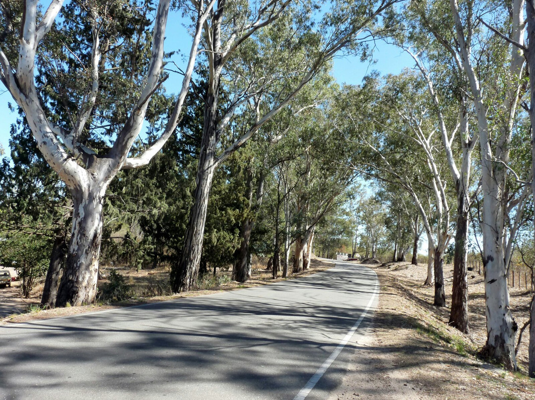 Dique La vina-Dos Pozos必去景点