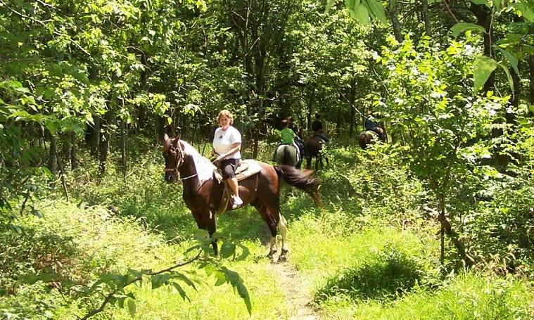 Whispering Woods Riding Stable景点图片