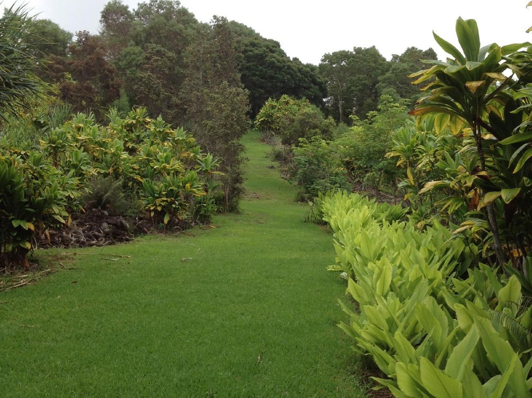 夏威夷热带植物园景点图片