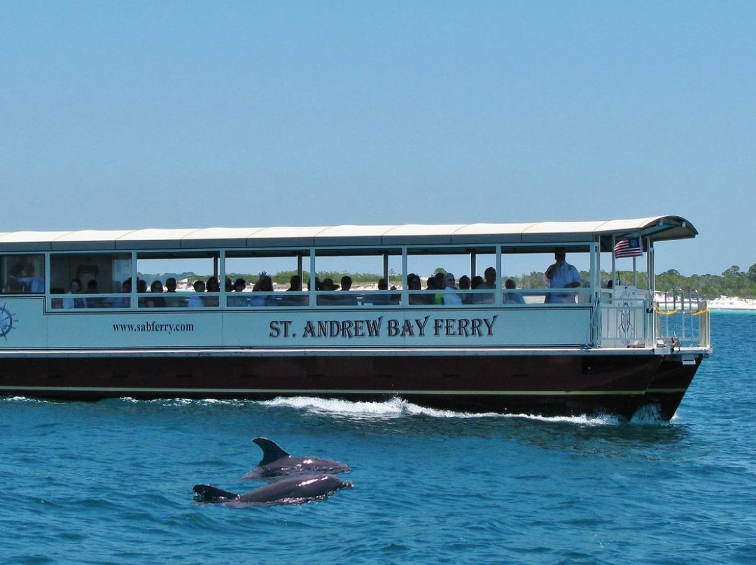 St. Andrew Bay Ferry Company Shell Island, Dolphin & Restaurant Hopping Cruises景点图片
