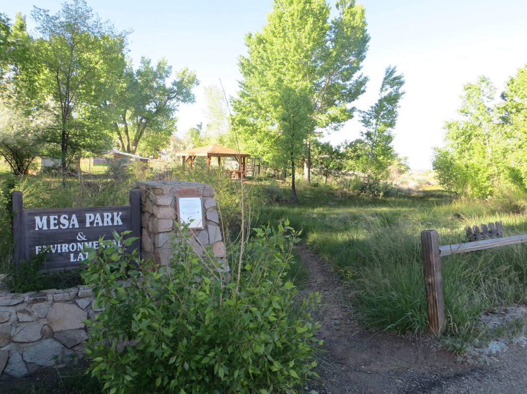 Mesa Park and Environmental Lab