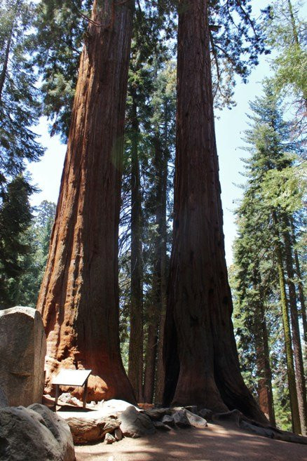 The Tough Twins-红杉&国王峡谷国家公园必去景点