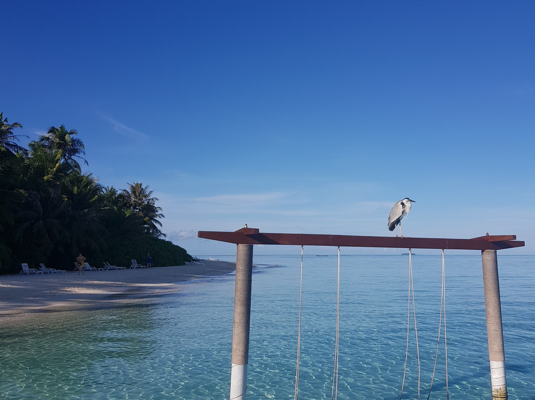 白雅度岛四星岛-马列南环礁必去景点