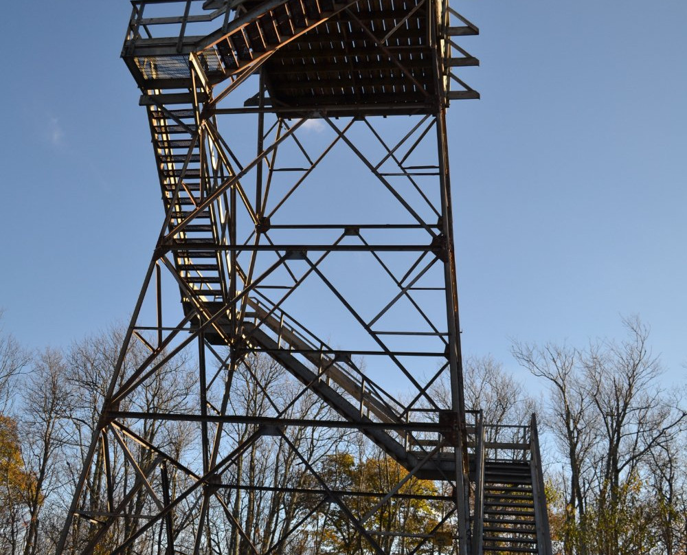 Bickel Knob Observation Tower景点图片