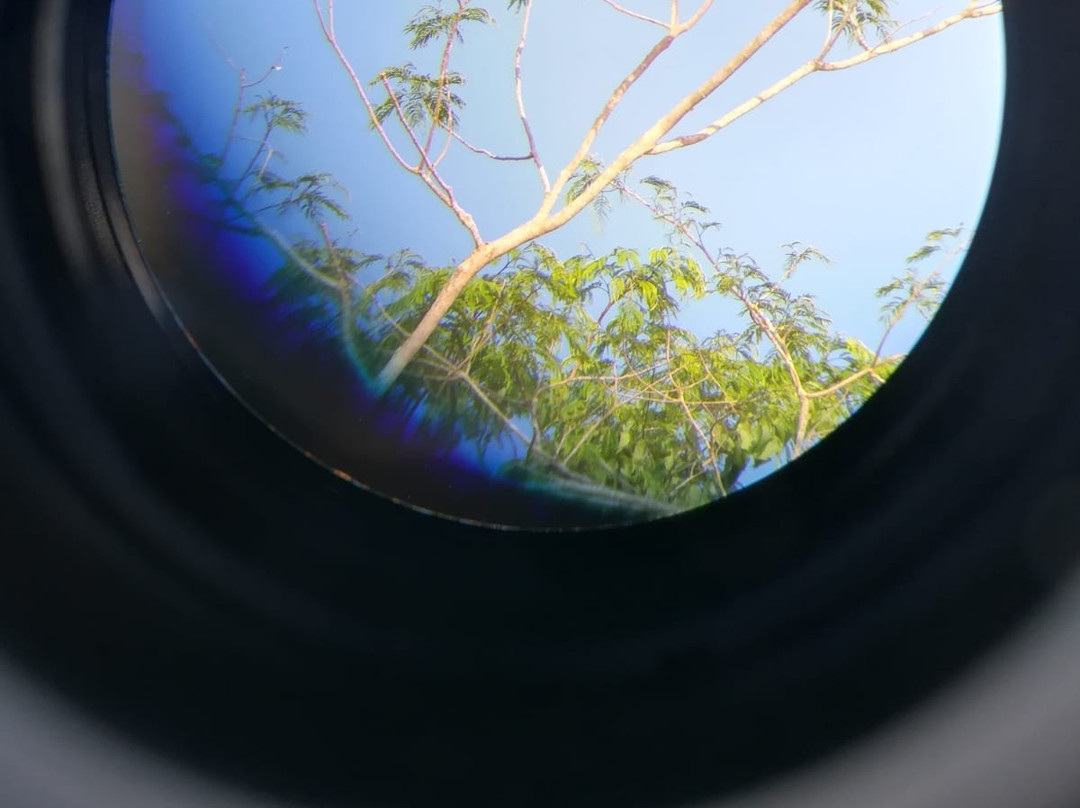 Tambopata Wild景点图片