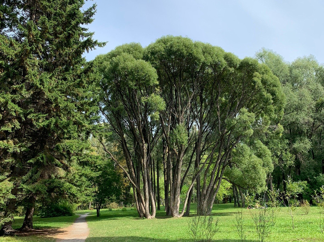 Central Siberian Botanical Garden景点图片