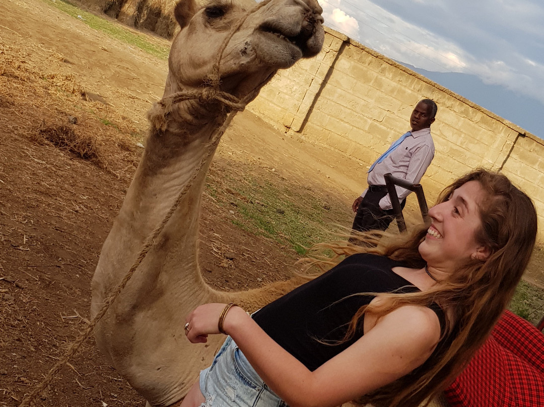 Meserani Snake Park-阿鲁沙必去景点