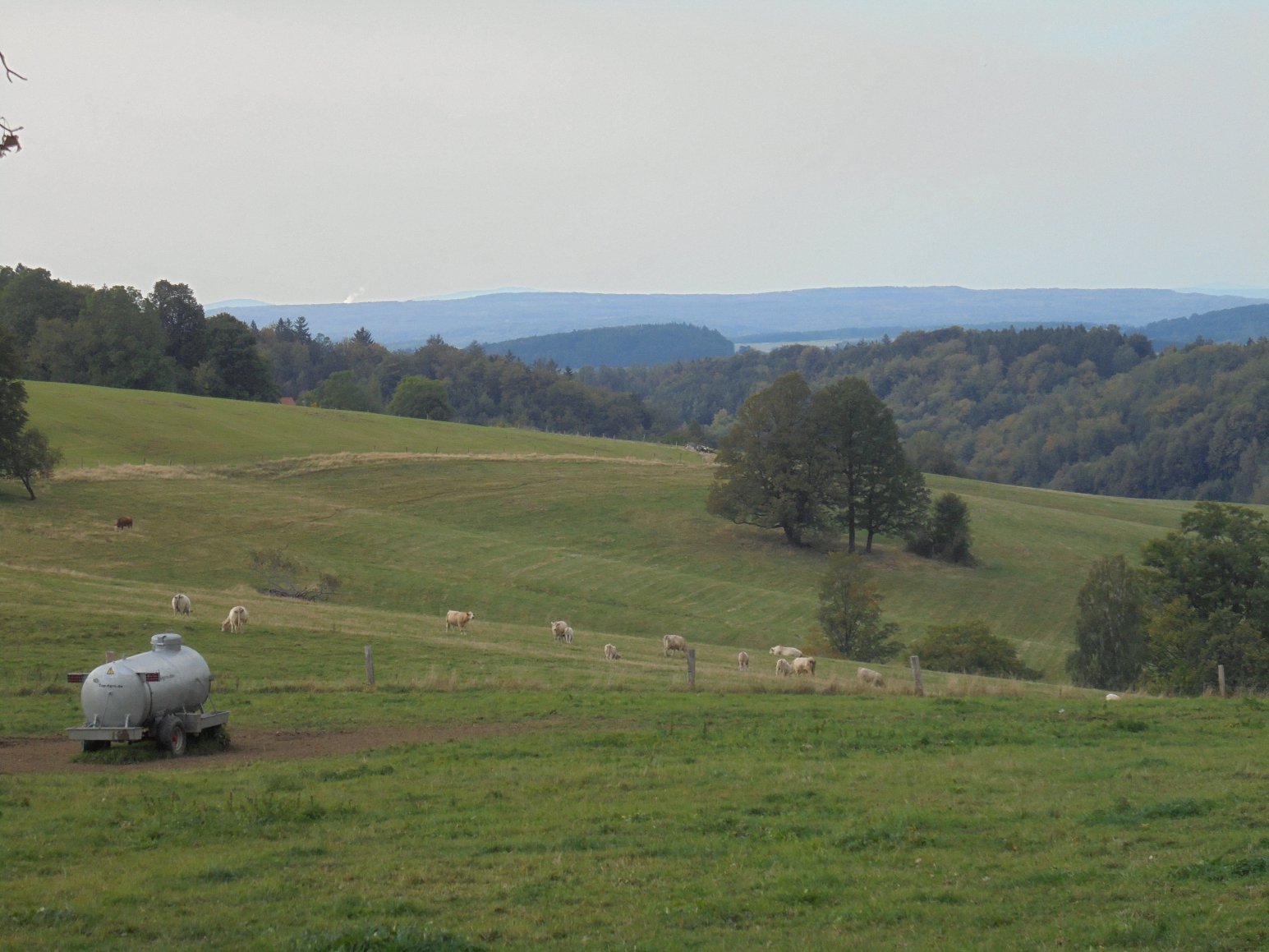 利比维达 Spa 度假村 - 诺维杜姆-酒店景观