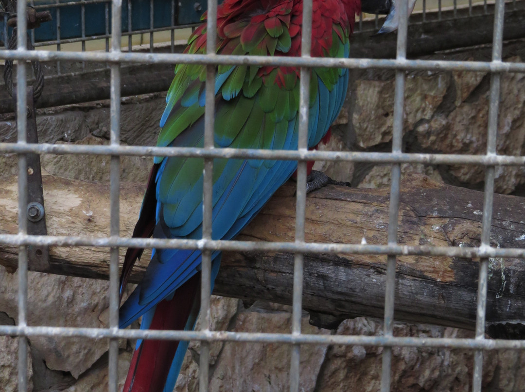 Petah Tikva Zoo-Petah Tiqwa必去景点