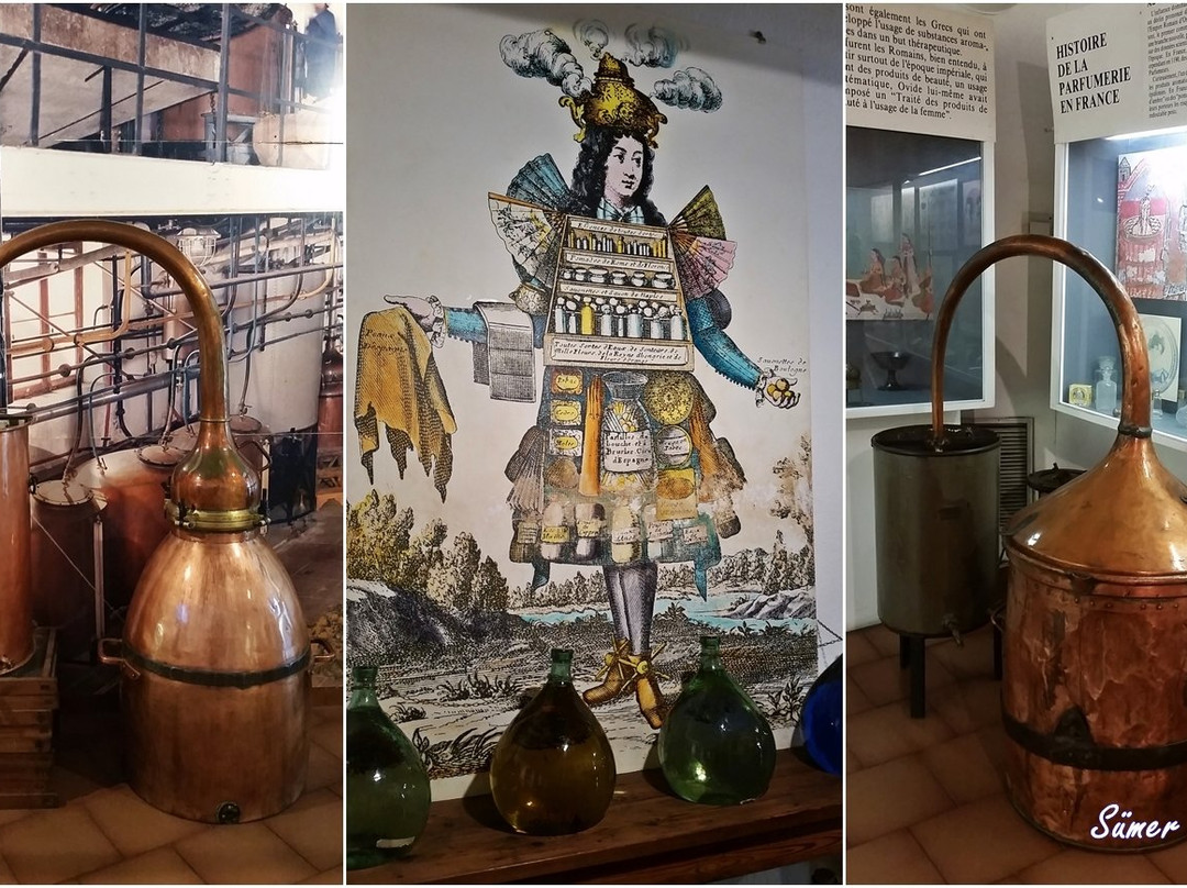 Parfumerie Galimard景点图片