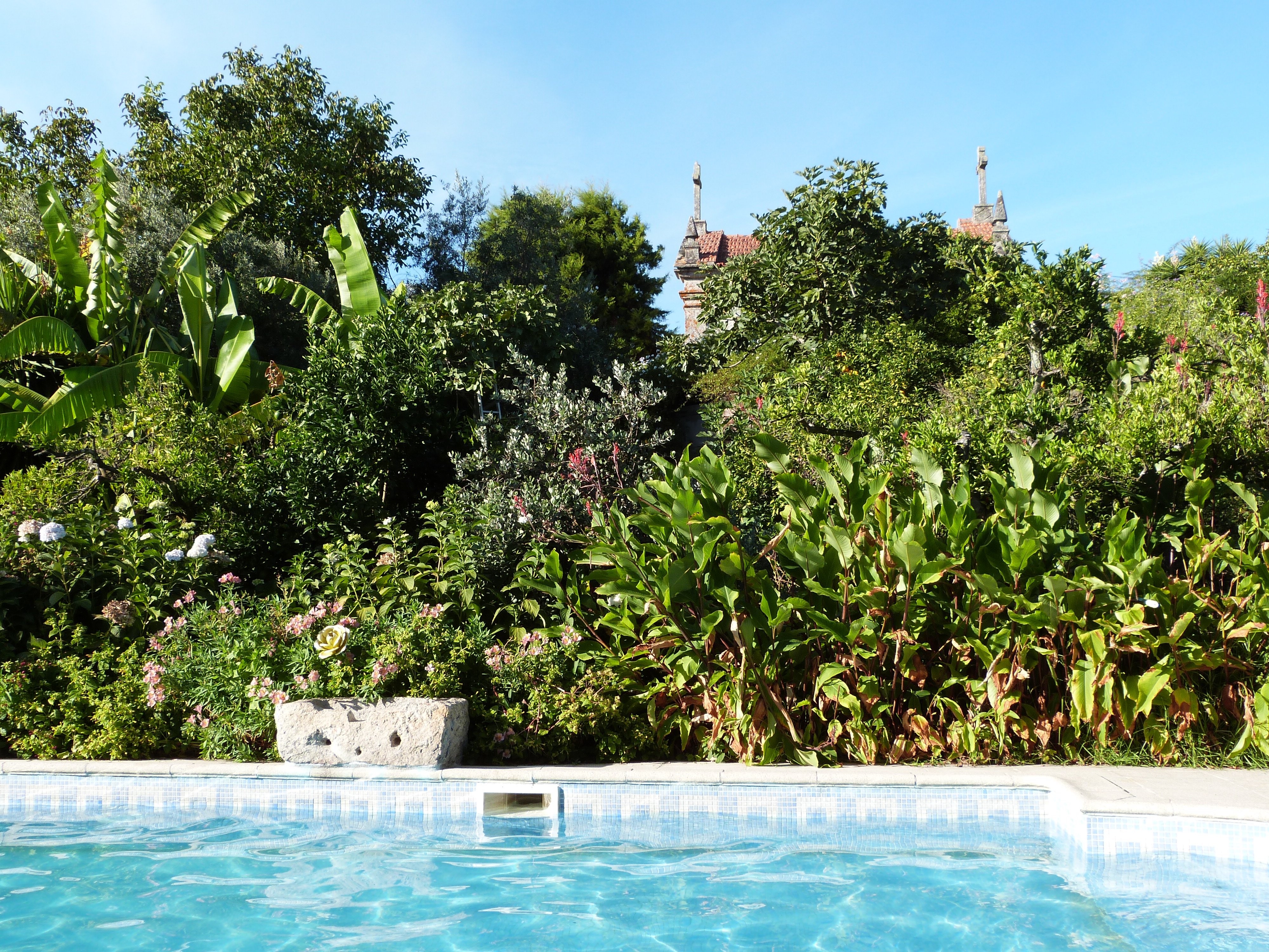 Quinta de Ribas-泳池