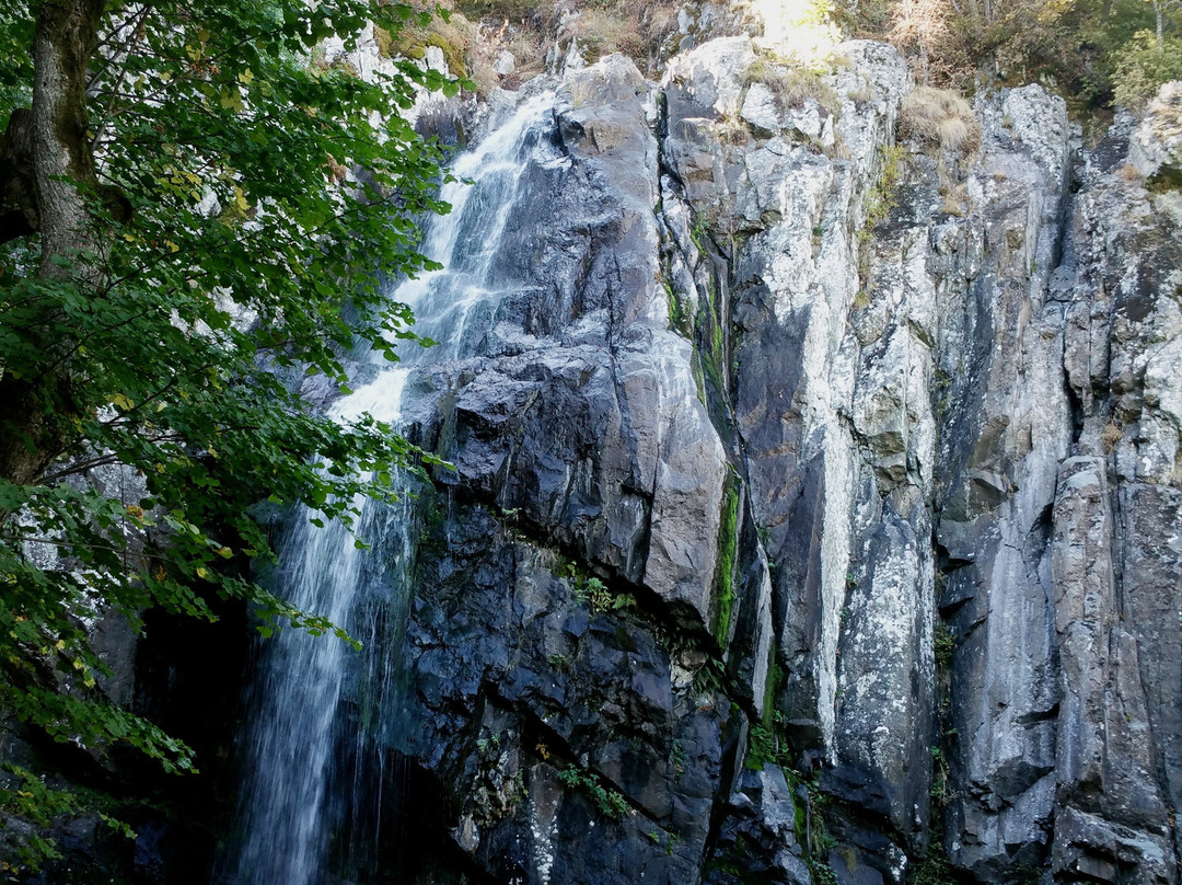 Boyana Waterfall景点图片