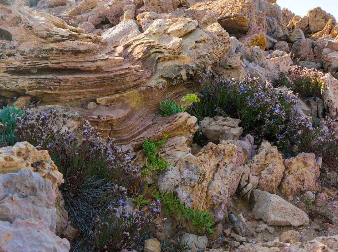 Torre di Cala Domestica-Buggerru必去景点